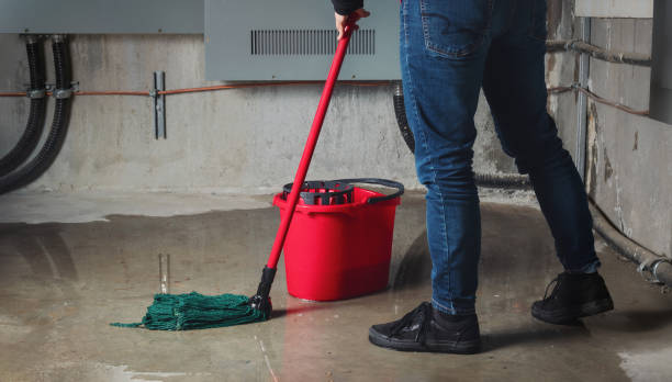 Best Residential water damage restoration  in Castlewood, VA