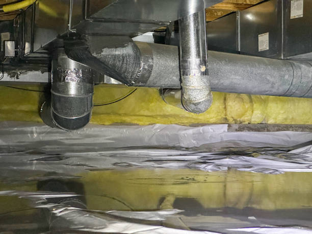 Best Ceiling water damage repair  in Castlewood, VA